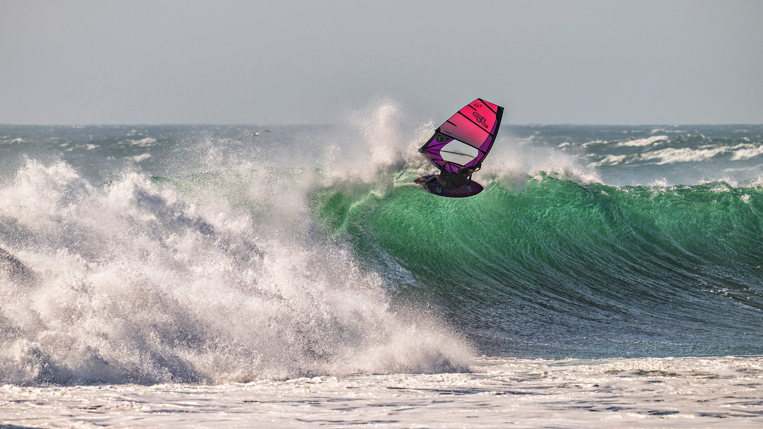 Morgan and Marino Excel in Chile!