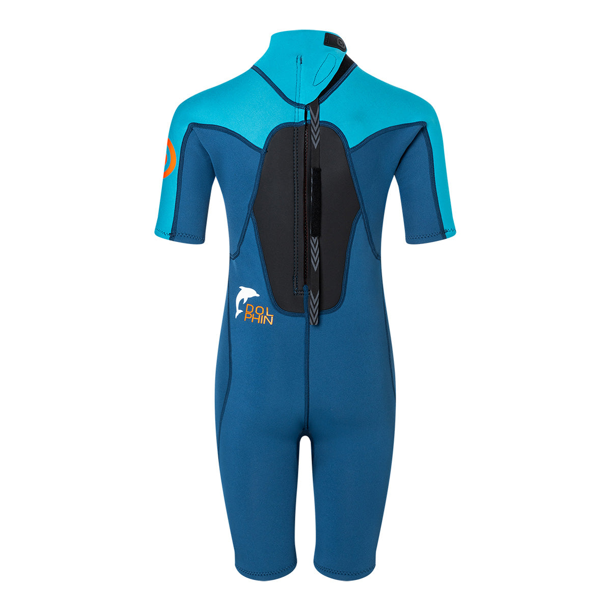DOLPHIN SHORTY BZ FL 2/2