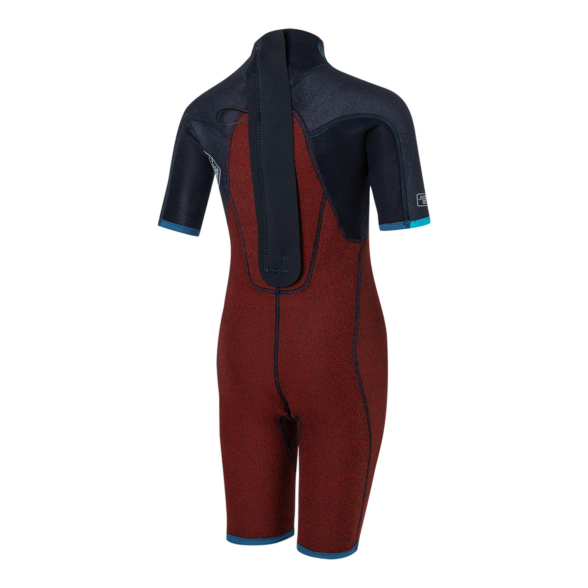 DOLPHIN SHORTY BZ FL 2/2