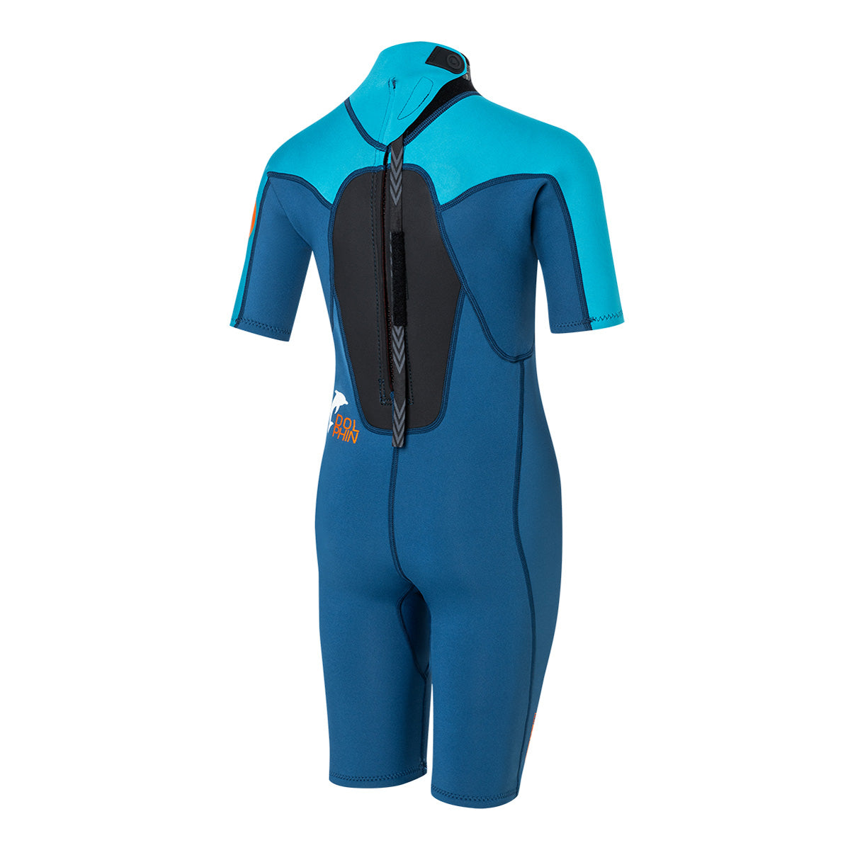 DOLPHIN SHORTY BZ FL 2/2