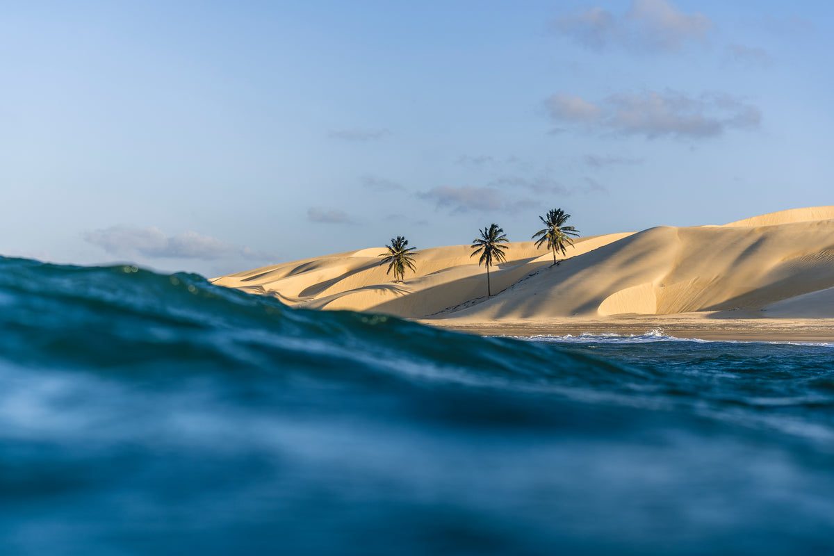 NeilPryde Ryde HD 2026