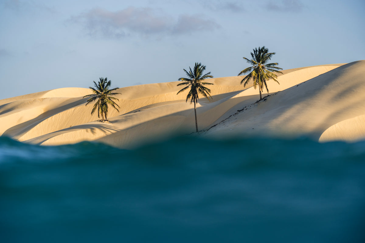 NeilPryde RS:Flight EVO VIII 2026