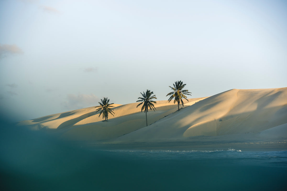 NeilPryde Speedster 2026