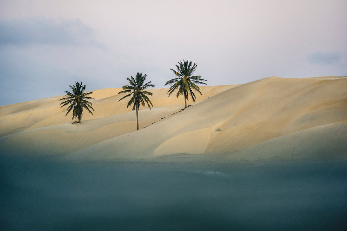 NeilPryde Speedster EVO 2026